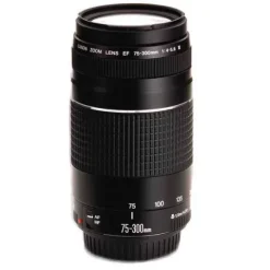 Canon EF 75-300mm F4.0-5.6 III Zoom