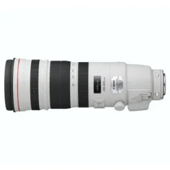 Canon EF 200-400mm f4L IS USM + 1.4x Tele-converter