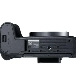 Canon EOS R8 Body