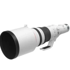 Canon RF 800mm F5.6 L IS USM