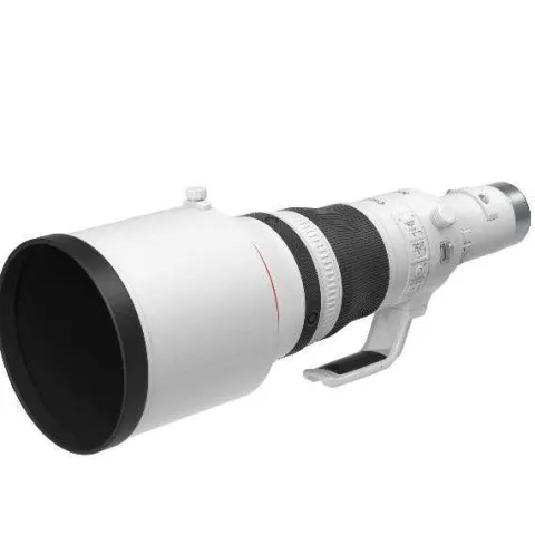 Canon RF 800mm F5.6 L IS USM