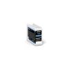 Epson T46S2 Cyan Ink Cart for P706