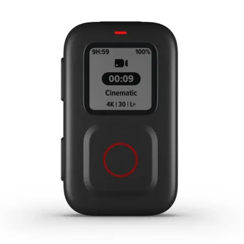 GoPro The Remote