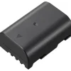 Panasonic DMW-BLF19 Battery