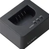 Panasonic DMW-BTC15 Charger for BLK22E Battery