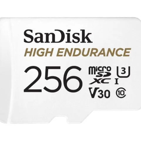 SanDisk High Endurance Micro SDHC Card 100MB/s R