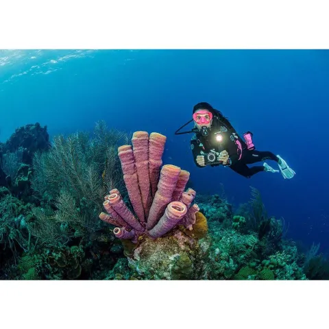 Sealife Micro 3.0 UW Explorer Set - Includes 2000F Light