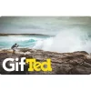 Ted's $50 Gift Card